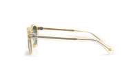 Moscot Lemtosh LEMTOSH SUN 46 FLESH CALIBAR GR Flesh