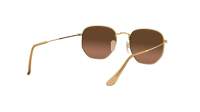 Ray-Ban Hexagonal Flat lenses RB3548N 9124/43 51-21 Or