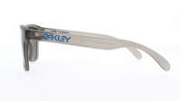 Oakley Frogskins Xs OJ9006 05 53-16 Grigio