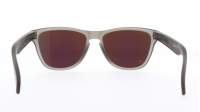 Oakley Frogskins Xs OJ9006 05 53-16 Grigio