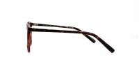 Opal OWII275 C28 48-19 Tartaruga