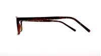 Opal OWII146 C28 53-17 Tartaruga