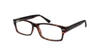 Opal OWII182 C28 55-15 Tortoise