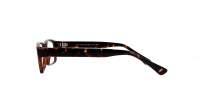 Opal OWII182 C28 55-15 Écaille