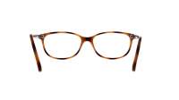 Opal OWII156 C27 52-15 Tortoise