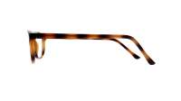 Opal OWII156 C27 52-15 Tortoise
