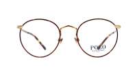 Polo Ralph Lauren PH1179 9384 48-20 Écaille
