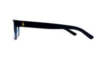 Polo Ralph Lauren PH2117 5470 54-16 Plava