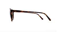 Polo Ralph Lauren PH4110 5134/73 50-21 Tortoise Mittel