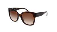 Vogue Eyewear VO5338S W65613 54-19 Tartaruga