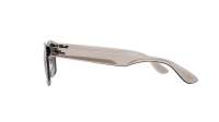 Ray-Ban RB4640 644971 50-20 Transparent Mittel Gradient Gläser