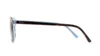 Ray-Ban Leonard RB2193 1316/3M 53-18 Tartaruga