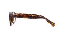 Moscot Lemtosh LEMTOSH 49 TORTOISE DEM. Écaille