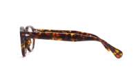 Moscot Lemtosh LEMTOSH 44 TORTOISE DEM. Écaille