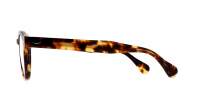 Moscot Lemtosh LEMTOSH 44 CLASSIC HAVANA DEM. Écaille