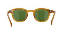 Moscot Lemtosh LEMTOSH SUN 46 BLONDE CALIBAR Écaille