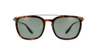 Barton Perreira Ronson Tortoise Matte MCH/ANG/SAP 54-19 Medium Polarized
