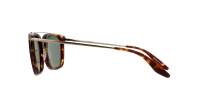 Barton Perreira Ronson MCH/ANG/SAP 54-19 Tartaruga