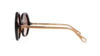 Chloé Esther Tortoise CH0008S 004 58-17 Medium Gradient