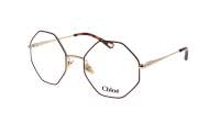 Chloé Palma CH0022O 008 53-20 Tartaruga