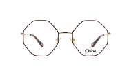 Chloé Palma CH0022O 008 53-20 Tartaruga