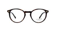 Vogue VO5367 W656 48-20 Dark havana Tortoise Schmal
