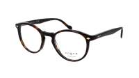 Vogue VO5367 W656 48-20 Dark havana Tortoise Small