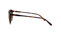 Polo Ralph Lauren PH4110 5134/83 50-21 Tortoise Medium Polarized