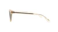 Oliver peoples Sheldrake sun OV5036S 158052 49-22 Transparent