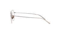 Giorgio Armani AR5095 3011 49-20 Bronze