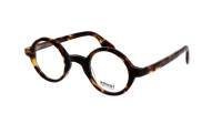 Moscot Zolman ZOLMAN 42 CLASSIC HAVANA DEM. Écaille