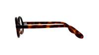 Moscot Zolman ZOLMAN 42 AMBER TORTOISE DEM. Écaille