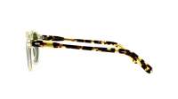 Moscot Miltzen MILTZEN SUN 46 CITRON TORTOISE Transparent