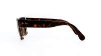 Ray-Ban Inverness RB2191 1292/57 54-18 Tartaruga