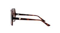 Guess GU7747/S 52F 62-16 Tortoise Breit Gradient Gläser