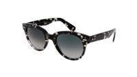 Ray-Ban Orion Gray Havana Tortoise RB2199 1333/71 52-22 Mittel Gradient Gläser