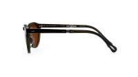 Oliver peoples Gregory peck 1962 OV5456SU 168053 50-23 Emerald Bark