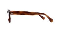 Moscot Lemtosh LEMTOSH 46 TOBACCO DEM. Brun