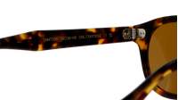 Moscot Lemtosh LEMTOSH SUN 49 TORTOISE COMISTAN Écaille