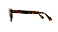 Moscot Lemtosh LEMTOSH SUN 49 TORTOISE COMISTAN Écaille