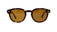 Moscot Lemtosh LEMTOSH SUN 49 TORTOISE COMISTAN Écaille