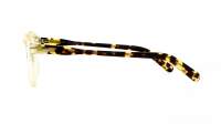 Moscot Miltzen MILTZEN 44 CITRON TORTOISE DEMO Transparent