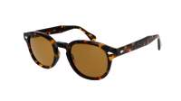 Moscot Lemtosh LEMTOSH SUN 46 TORTOISE COSMITAN Écaille