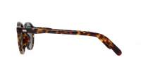 Moscot Miltzen MILTZEN SUN 46 TORTOISE G15 Écaille