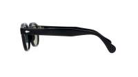 Moscot Lemtosh LEMTOSH SUN 46 BLACK FOREST WOOD Écaille