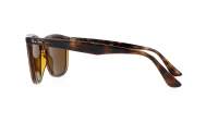 Ray-Ban RB4362 710/73 55-18 Havane Tortoise Large