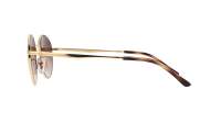 Ray-Ban RB3681 001/13 50-20 Arista