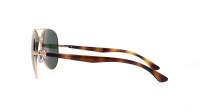Ray-Ban RB3675 001/31 58-14 Arista