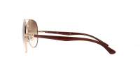 Ray-Ban RB3675 001/51 58-14 Arista