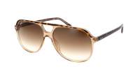 Ray-Ban Bill Tortoise RB2198 1292/51 56-14 Medium Gradient